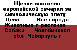 Щенки восточно европейской овчарки за символическую плату › Цена ­ 250 - Все города Животные и растения » Собаки   . Челябинская обл.,Чебаркуль г.